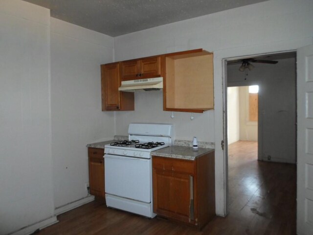 kitchen with ceiling fan, dark hardwood / wood-style floors, and gas range gas stove