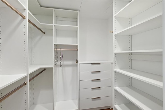 view of walk in closet