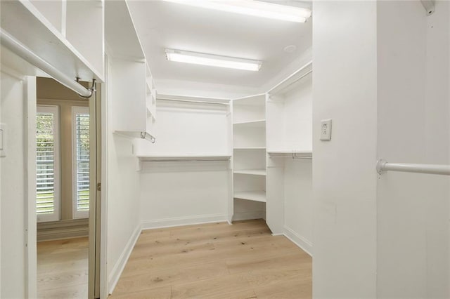 spacious closet featuring light hardwood / wood-style floors