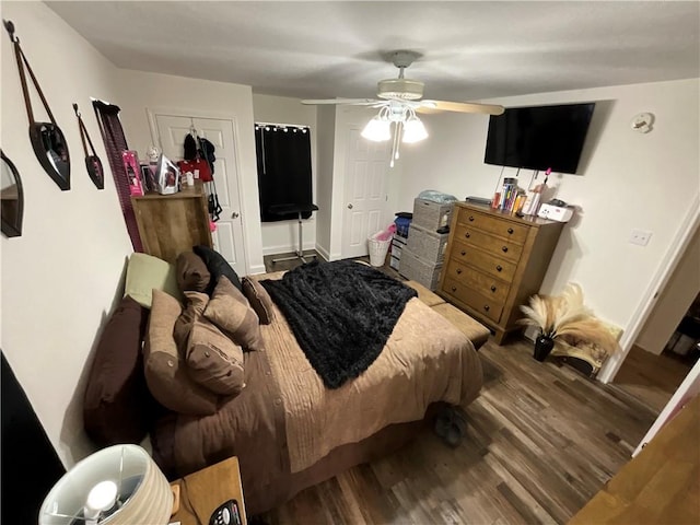 bedroom featuring ceiling fan, a closet, and hardwood / wood-style floors