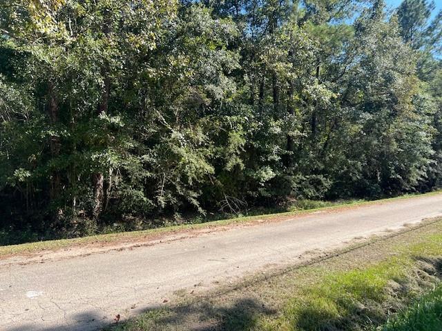 Mcmanus Rd, Slidell, LA 70461 - photo 1