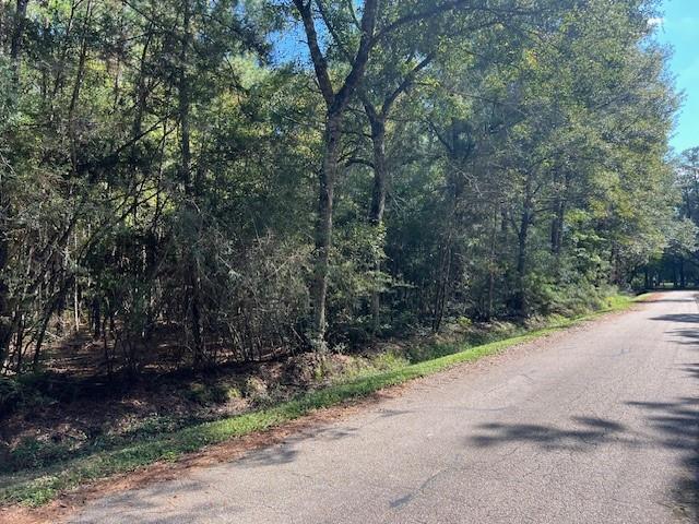 Mcmanus Rd, Slidell, LA 70461 - photo 2