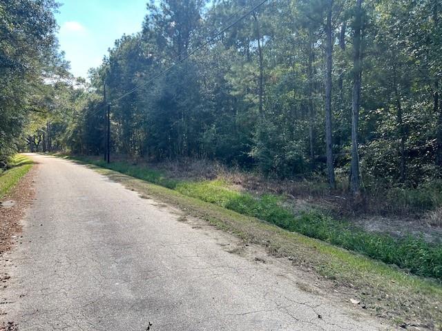 Mcmanus Rd, Slidell, LA 70461 - photo 3