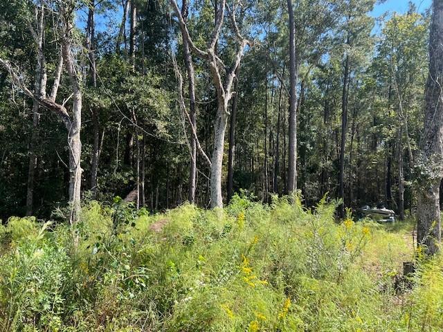 Mcmanus Rd, Slidell, LA 70461 - photo 4