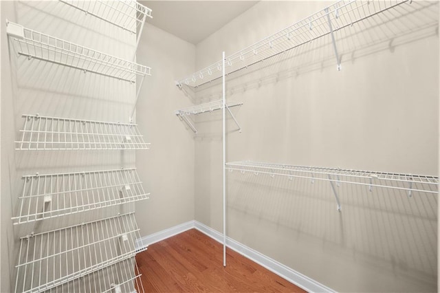 spacious closet with hardwood / wood-style floors