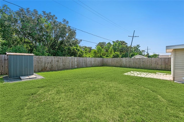 view of yard with a patio and a shed