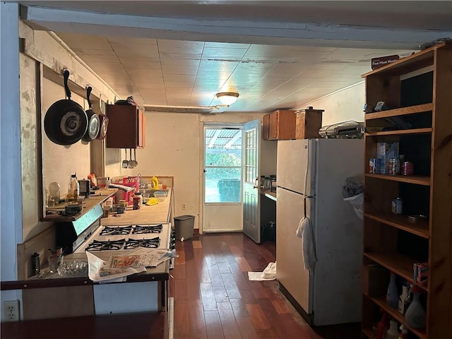 kitchen with white refrigerator, dark hardwood / wood-style flooring, and sink