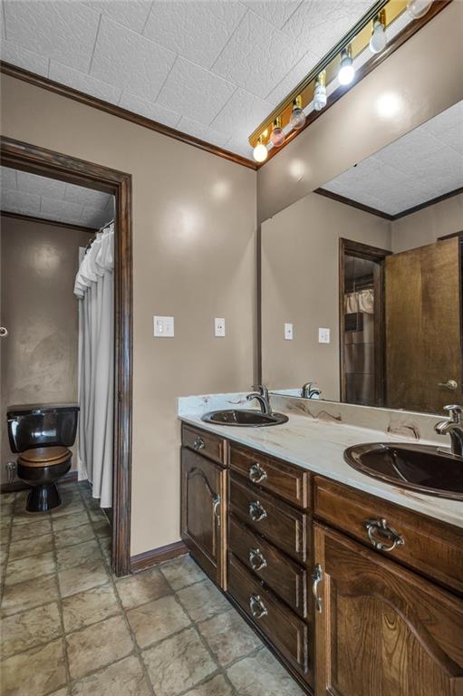 bathroom featuring ornamental molding, vanity, and toilet