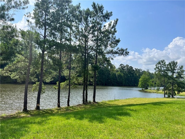 168 Kokomo Ln, Bush LA, 70431 land for sale