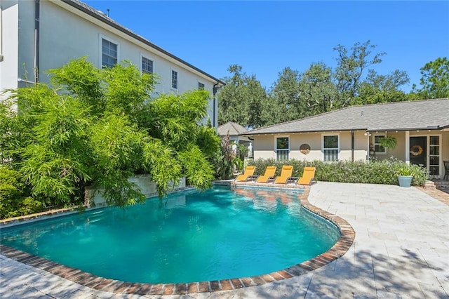 view of pool with a patio