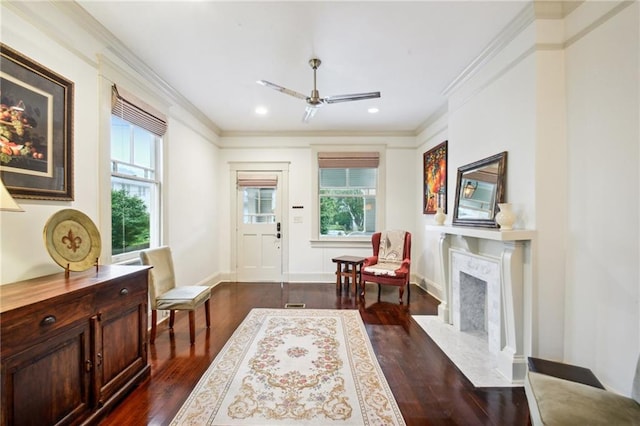 sitting room featuring ornamental molding, dark wood-type flooring, a high end fireplace, and a healthy amount of sunlight