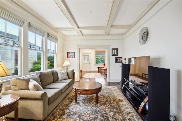 living room featuring plenty of natural light, hardwood / wood-style floors, coffered ceiling, and beam ceiling