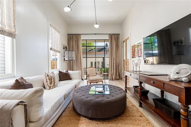 living room featuring hardwood / wood-style flooring