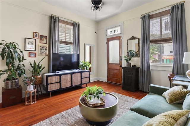 living room featuring hardwood / wood-style flooring and a healthy amount of sunlight