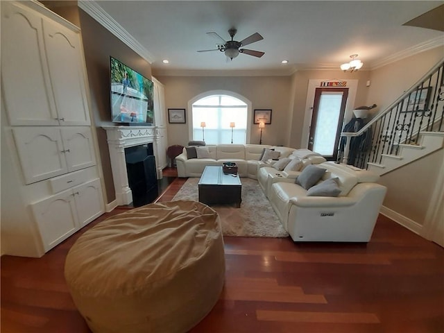 living room featuring dark hardwood / wood-style floors, crown molding, and ceiling fan