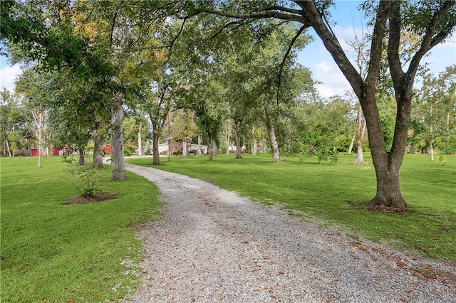 10128 Reynolds Dr, Waggaman, LA 70094 - photo 1