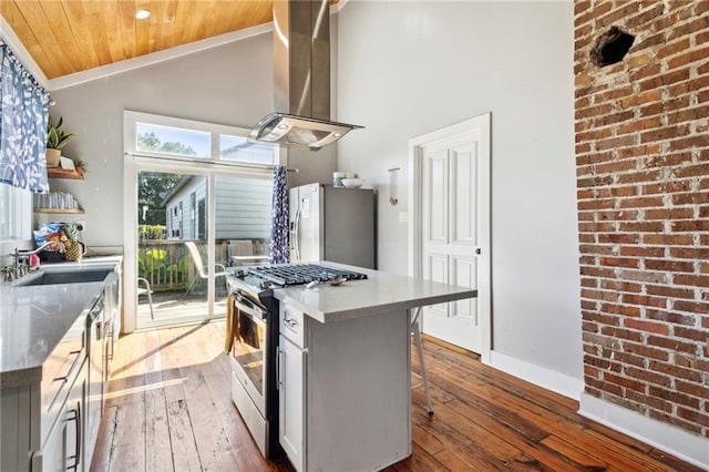 kitchen featuring island exhaust hood, hardwood / wood-style floors, sink, appliances with stainless steel finishes, and a center island