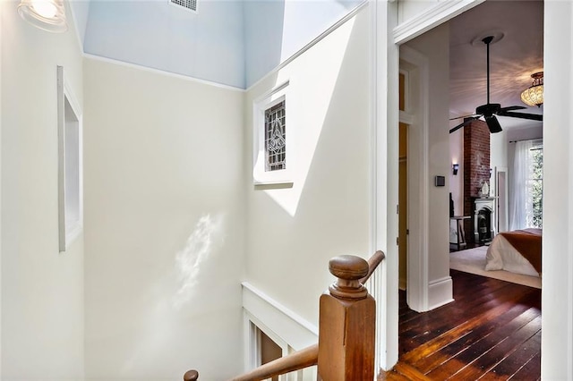 hallway featuring dark hardwood / wood-style flooring