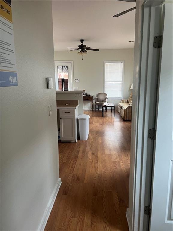 hall featuring dark hardwood / wood-style floors