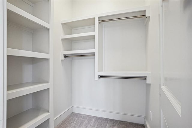 walk in closet featuring carpet flooring