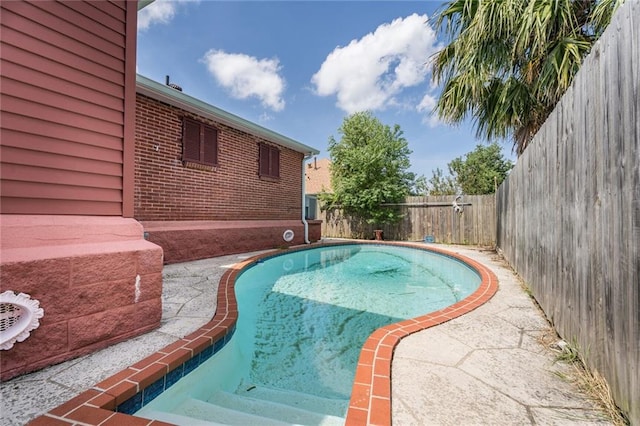 view of swimming pool with a patio area