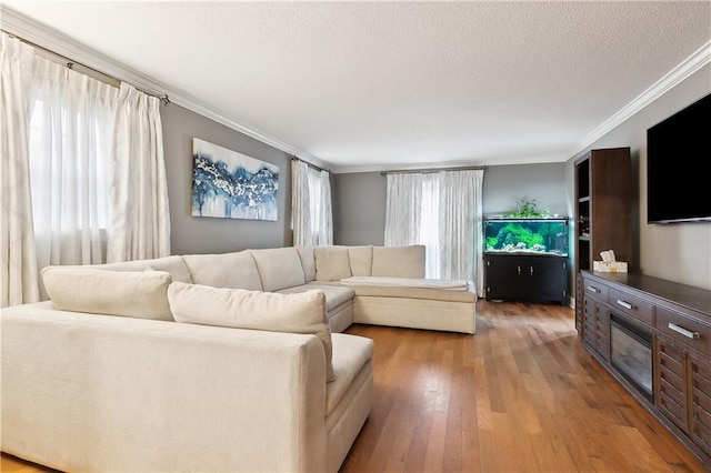 living room with wood-type flooring, crown molding, a wealth of natural light, and a textured ceiling