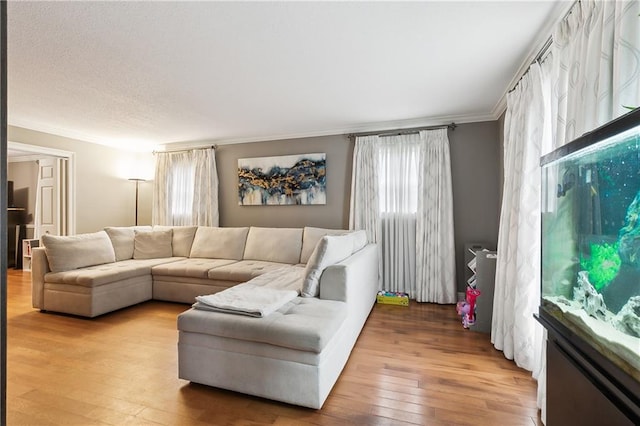 living room featuring crown molding and hardwood / wood-style floors