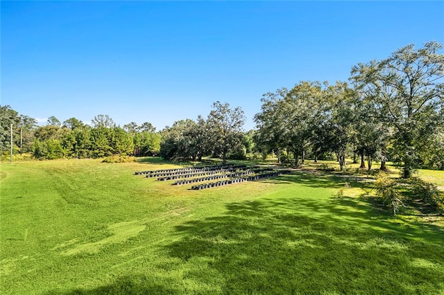 view of yard with a rural view