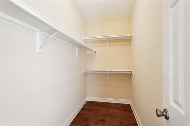 walk in closet featuring dark wood-type flooring