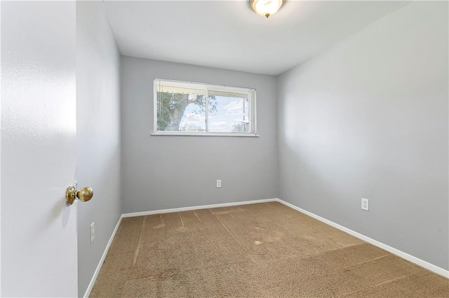 spare room featuring carpet floors