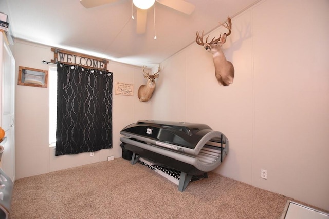 miscellaneous room with ceiling fan, plenty of natural light, and carpet floors