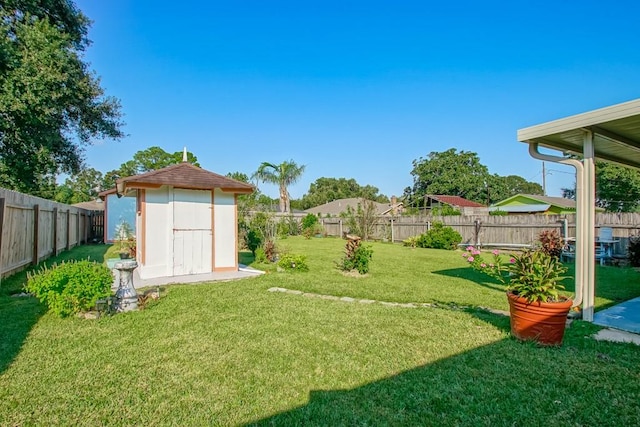 view of yard with a shed