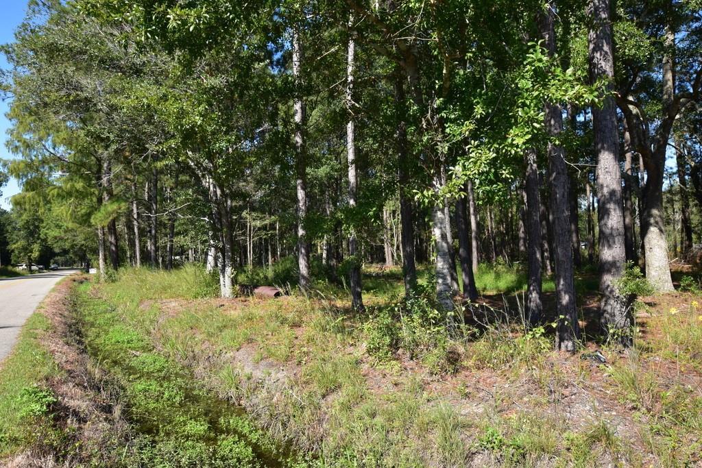 66299 Chris Kennedy Rd, Pearl River, LA 70452