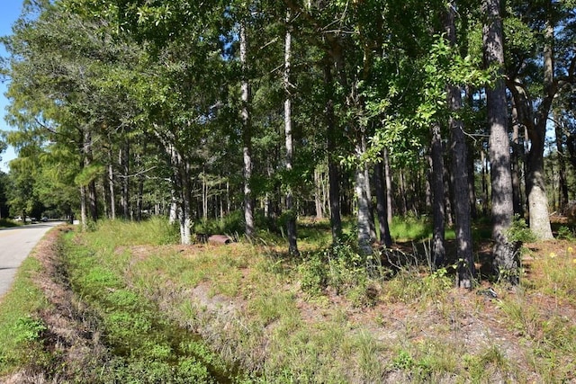 66299 Chris Kennedy Rd, Pearl River, LA 70452