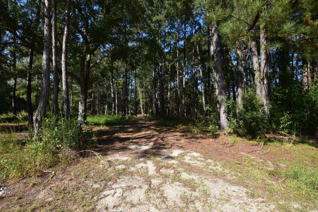 66299 Chris Kennedy Rd, Pearl River, LA 70452