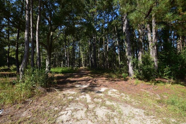 66299 Chris Kennedy Rd, Pearl River, LA 70452