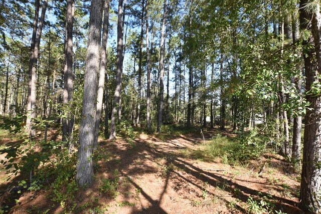 66299 Chris Kennedy Rd, Pearl River, LA 70452