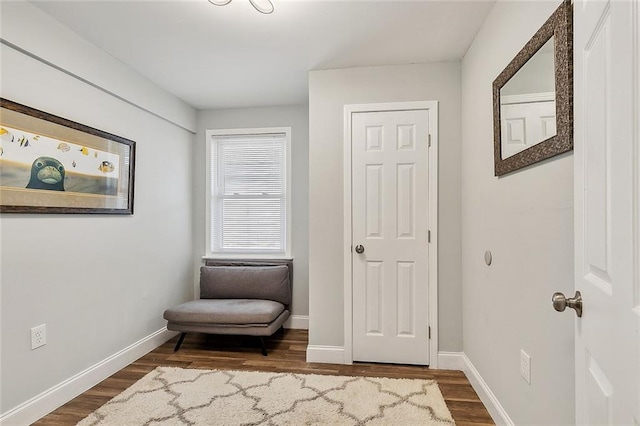 sitting room featuring dark wood-type flooring