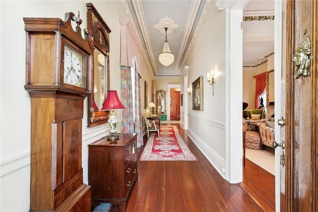 hallway with crown molding and dark wood-type flooring