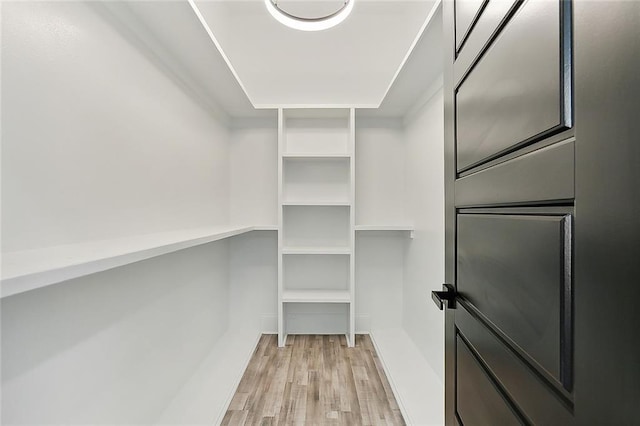 walk in closet with light hardwood / wood-style flooring