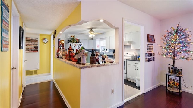 hall featuring sink and dark wood-type flooring