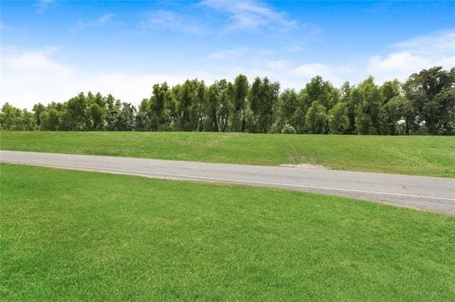 170 Becs Pl, Braithwaite, LA 70040 - view of yard