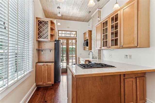 kitchen with kitchen peninsula, dark hardwood / wood-style floors, decorative light fixtures, and stainless steel appliances