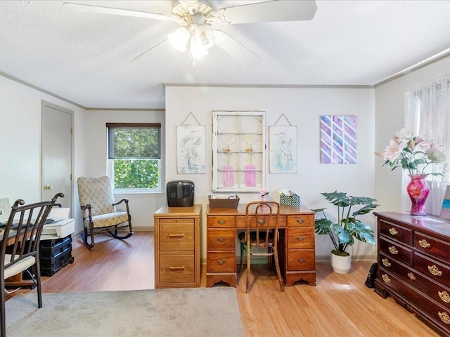 office with ornamental molding, ceiling fan, and light hardwood / wood-style floors