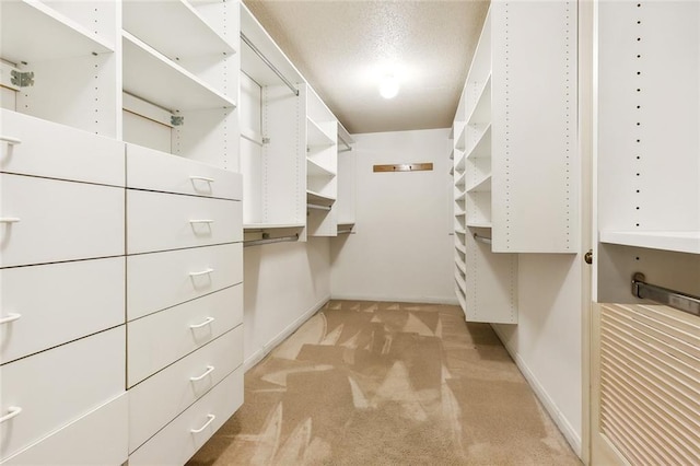 walk in closet featuring light carpet