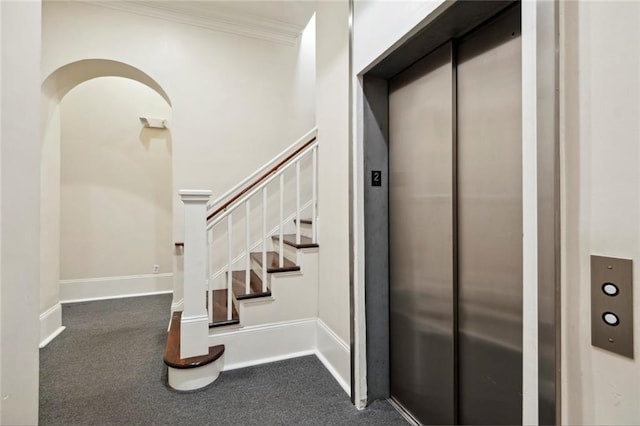 stairs with carpet floors, crown molding, and elevator