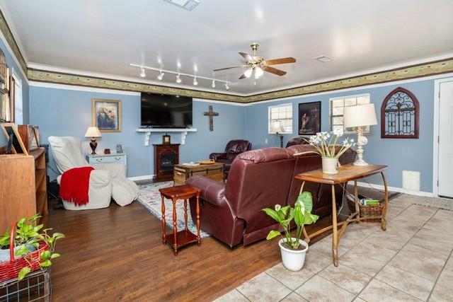 living area with visible vents, baseboards, ceiling fan, light wood-type flooring, and track lighting