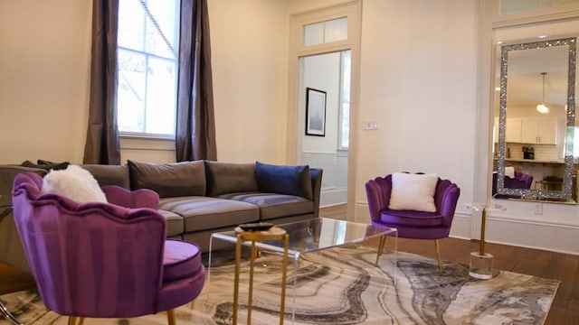 living room featuring wood-type flooring