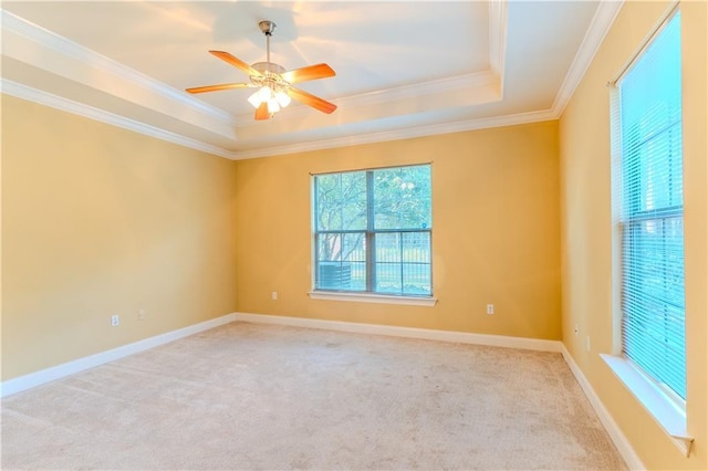40145 Taylors Trl Unit 204, Slidell, LA 70461 - spare room featuring a raised ceiling, a ceiling fan, carpet, and ornamental molding