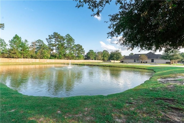 view of water feature